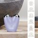 Микротоковый подтягиватель лица GESKE MicroCurrent Face-Lifter 6в1 purple HB0134 фото 3
