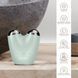 Микротоковый подтягиватель лица GESKE MicroCurrent Face-Lifter 6в1 green HB0140 фото 3