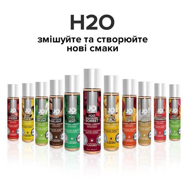 Змазка на водній основі System JO H2O &mdash; Raspberry Sorbet (120 мл) без цукру, рослинний гліцерин SO1671 фото