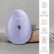 Электронный освежитель для увлажнения лица GESKE Facial Hydration Refresher 4в1 purple HB0167 фото 3