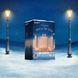 Подарунковий набір Satisfyer Premium Advent Calendar 2025 SX2855 фото 6
